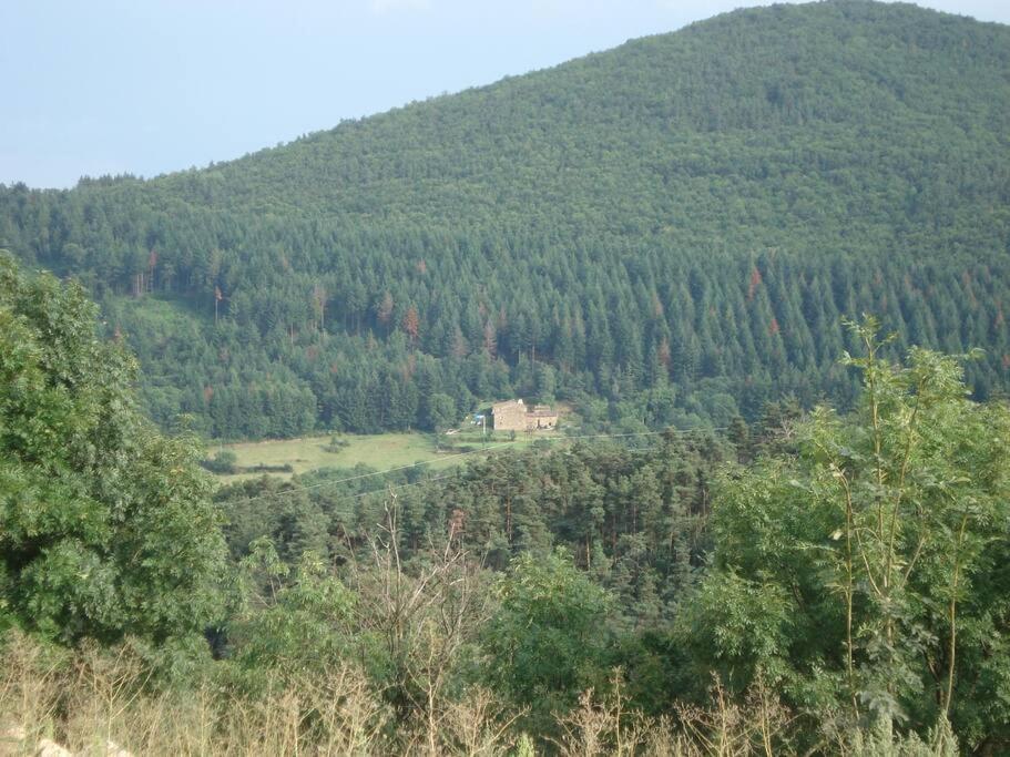 Gites De Fouard "L Estancot" Malaurier Extérieur photo